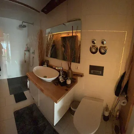 Freudi's Berghuette *