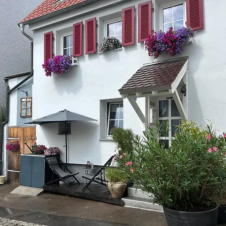 Freudi's Berghuette *