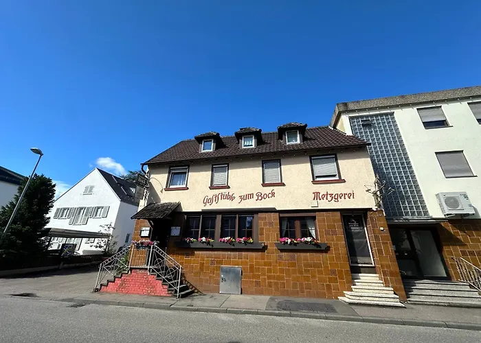 Freudi's Berghuette *