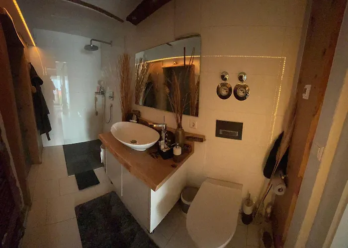 Freudi's Berghuette *